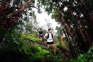 BIB: 
                            <button type="button" onclick="openModal(26202602)" class="btn btn-primary btn-sm float-right btn-popup" data-toggle="modal" data-target=".modal-high-quality">
                        <i class="fas fa-shopping-cart"></i> Add to Cart
                    </button>
                                            <button type="button" onclick="isThisMe(26202602, true)" class="btn btn-success btn-sm float-right btn-popup btn-isme hidden" data-toggle="tooltip" data-placement="bottom" title="นี่คือรูปของคุณใช่ไหม คลิกที่นี่เพื่อเอาเข้าอัลบั้ม">
                        <i class="fas fa-plus"></i> Add to album
                    </button>
                    <button type="button" onclick="isThisMe(26202602, false)" class="btn btn-warning btn-sm float-right btn-popup btn-isnotme hidden">
                        <i class="fas fa-ban"></i> Remove from album
                    </button>